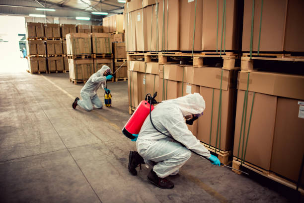 Best Affordable Pest Control Services  in Chincoteague, VA