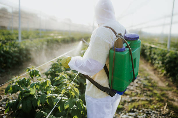 Best Best Pest Control Companies  in Chincoteague, VA